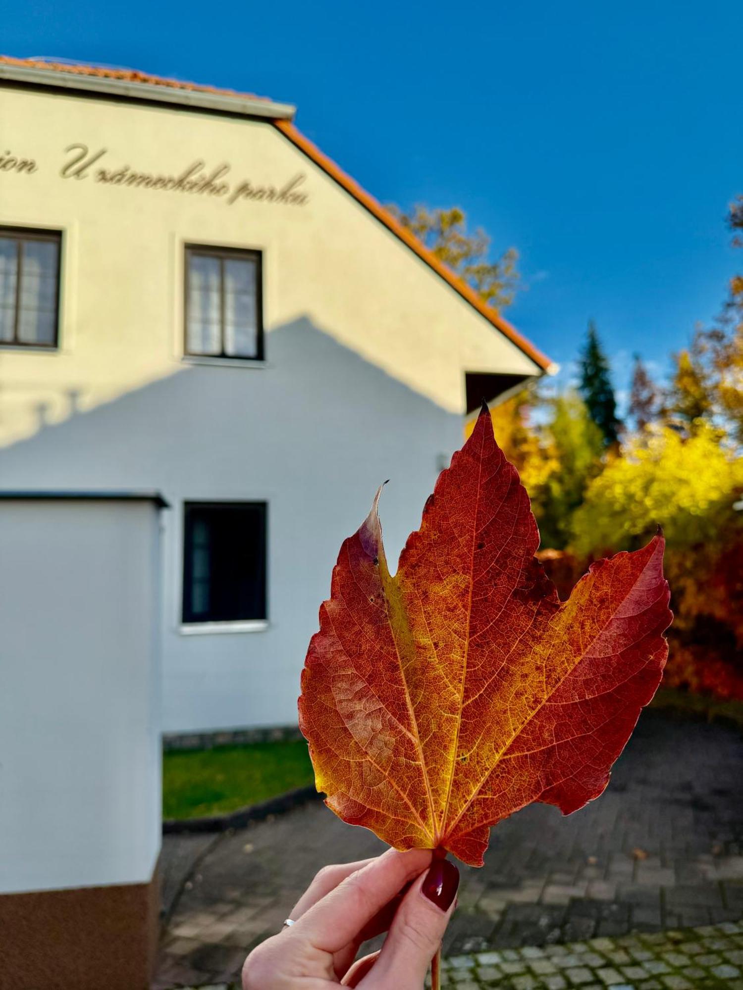 Penzion U zámeckého parku Třeboň Exterior foto